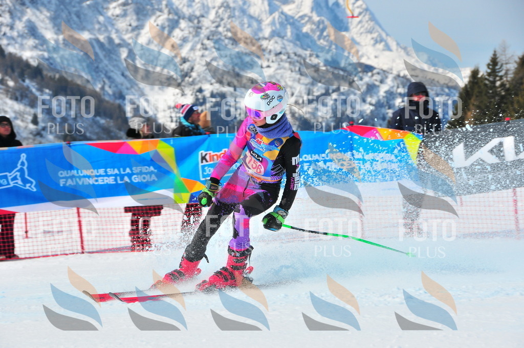 DSC_5131 | holidayphoto