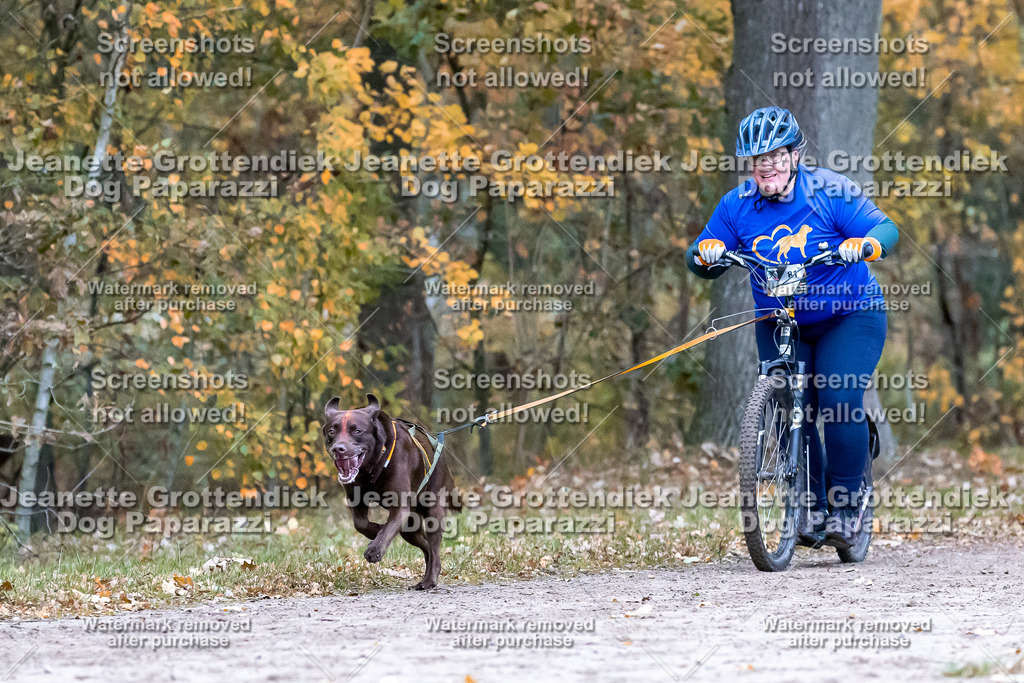 Dog Paparazzi - SD CaniX Championship 2025-189 | Dog Paparazzi Jeanette Grottendiek Fotografie & Videografie - Realisiert mit Pictrs.com