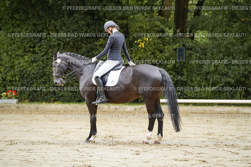 DSC08272 | Pferdegrafie