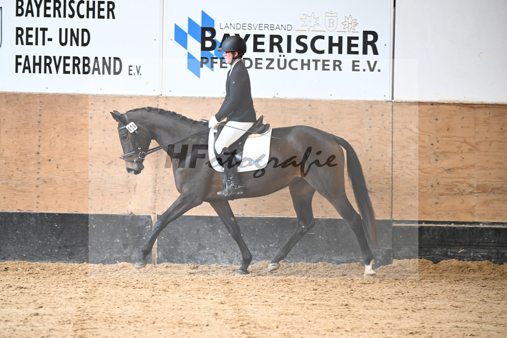 Kat-Nr. 6 Penelope v. Kros_Schwind_50250299 | hf-fotografie - Realisiert mit Pictrs.com