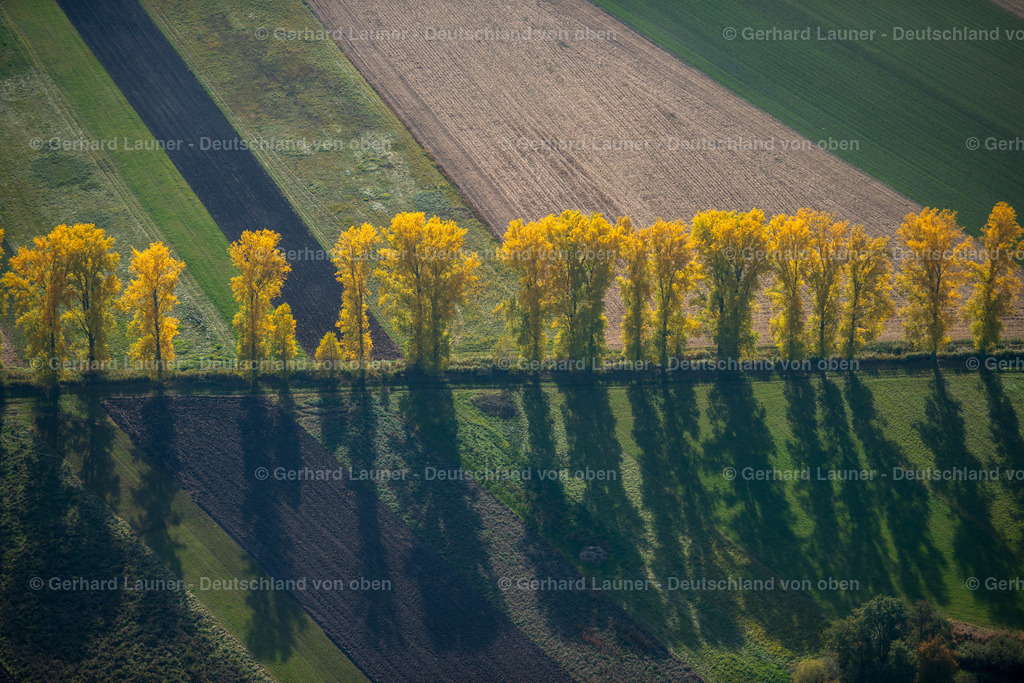 3294538 | Herbstbäume bei Sulzheim