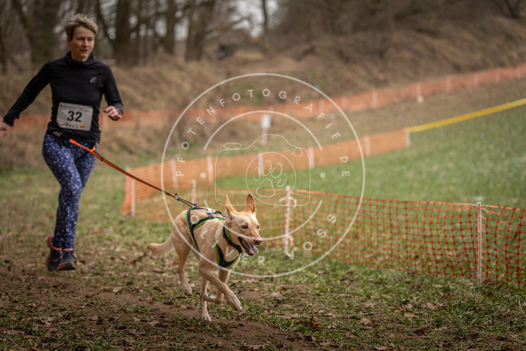 Pfotenfotografie_DV3A9132 | Hundefotografie, Tierfotograf, Pfotenfotografie, Fotoshooting Hund, Hunde Portrait, Hundesport, Hundeportraits, Heideshooting, Hunde, Sportfotograf, Hundefotograf, Turnierhundsport, THS,  - Realisiert mit Pictrs.com
