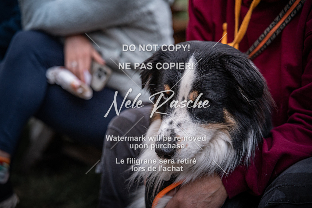 nelerasche_Do-Oly_353 | nelerasche
