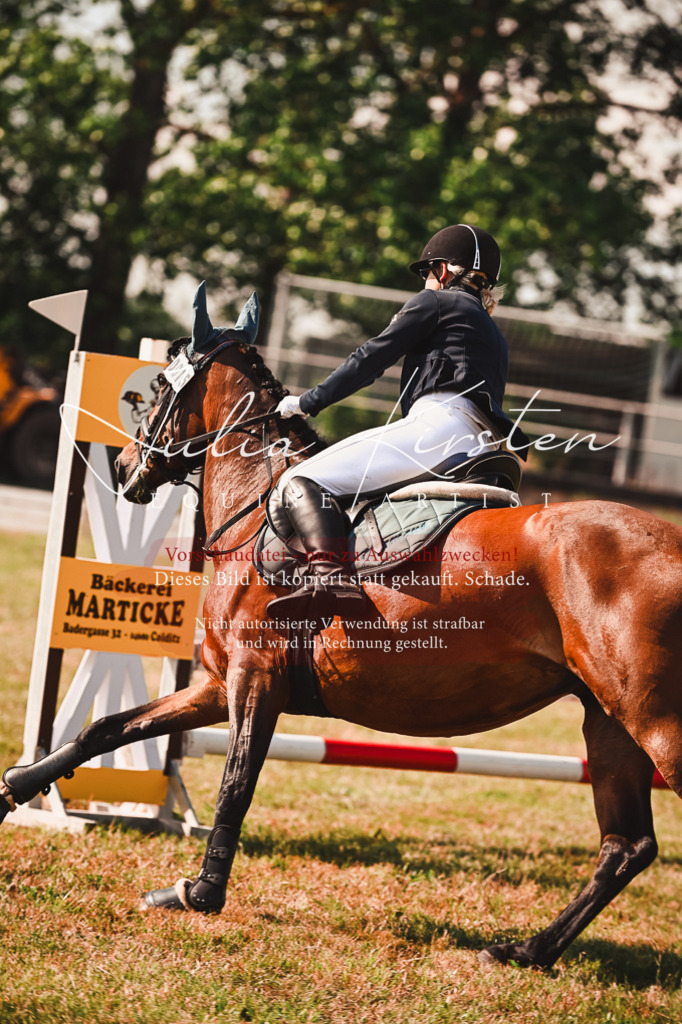DSC_7370 | Pferde- und Turnierfotografie in Westsachsen. Pferdeportraits, Auftragszeichnungen und intuitive Kunst.