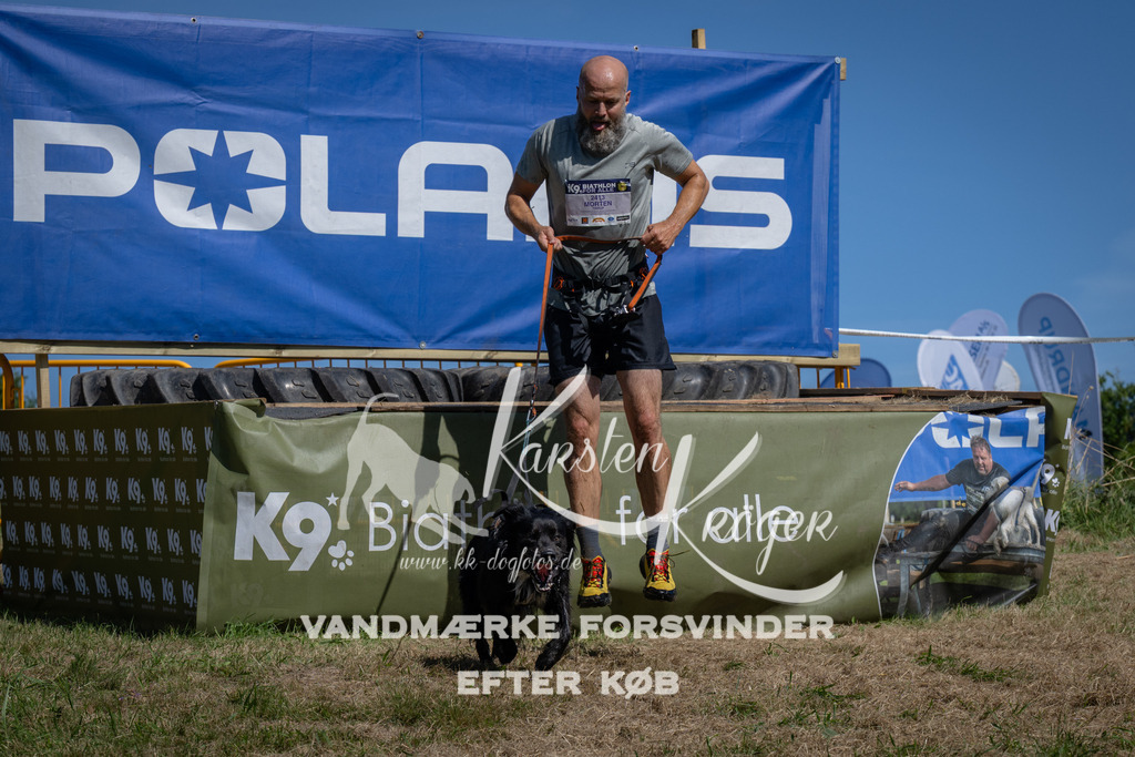 1241_ZZ96178 | kk-dogfotos