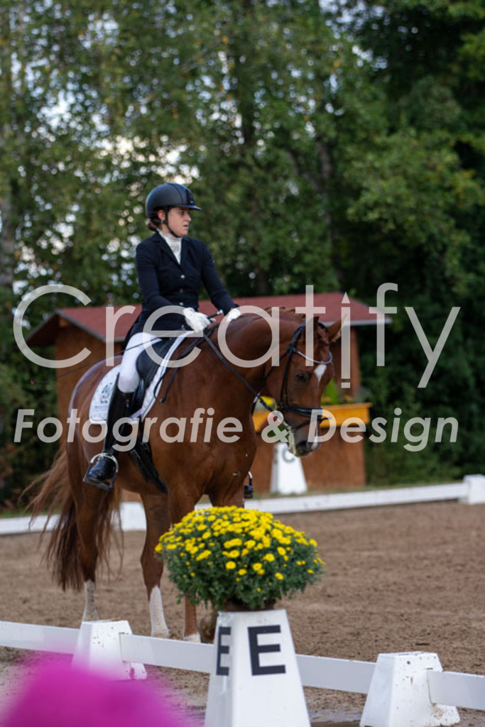 IMG_4191 | Creatify Fotografie