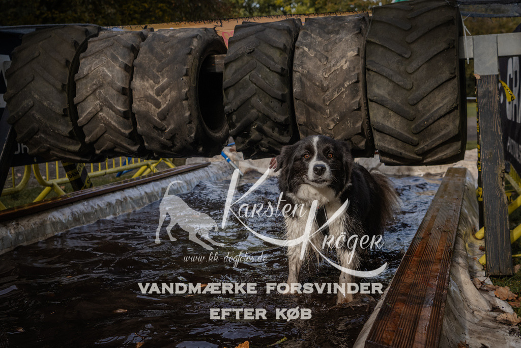 1422_ZZ94401 | kk-dogfotos