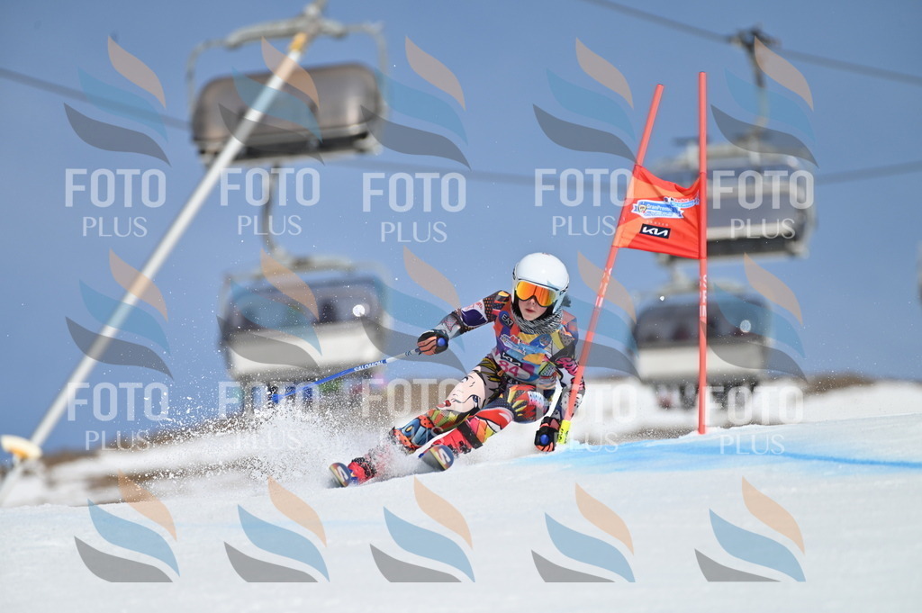 BGV_9130 | holidayphoto