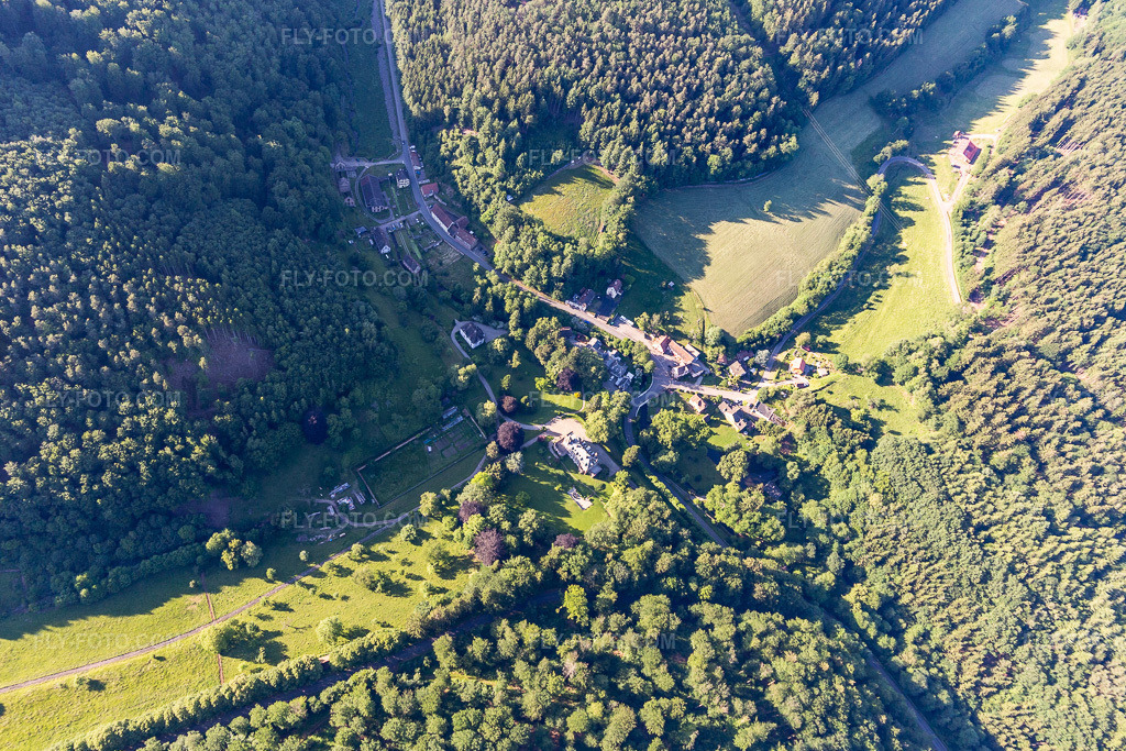 Aerial view: Chateau de Jaegerthal in Niederbronn-les-Bains in the state Bas-Rhin, France. – Photo: IMG_115399.jpg taken on 06/16/2019 by Werner Riehm/FLY-FOTO.com – Resolution of the original: 5302 x 3534 px