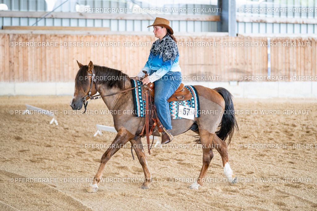 DSC01698 | Pferdegrafie