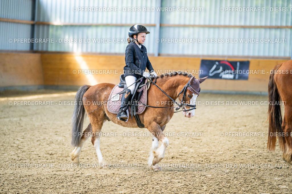 DSC03117 | Pferdegrafie