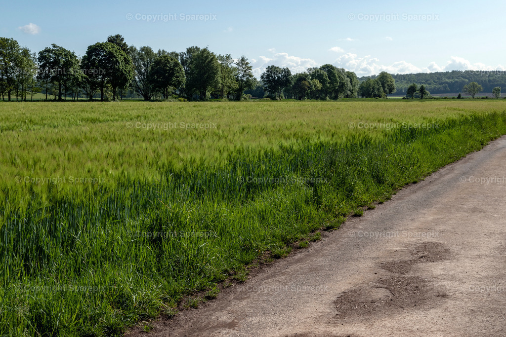 LOC_Trail_Green_Field1 | sparepix - Realisiert mit Pictrs.com