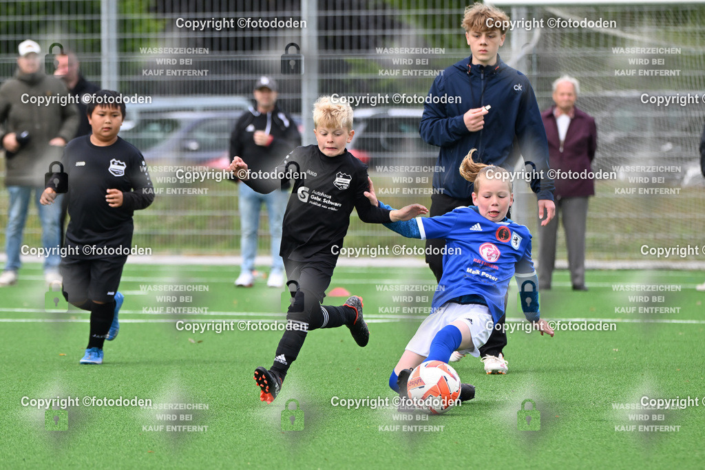 DSC_6869 | SG Sengwarden Fedderwarden (blau) / Eintracht Plaggenburg (schwarz)
