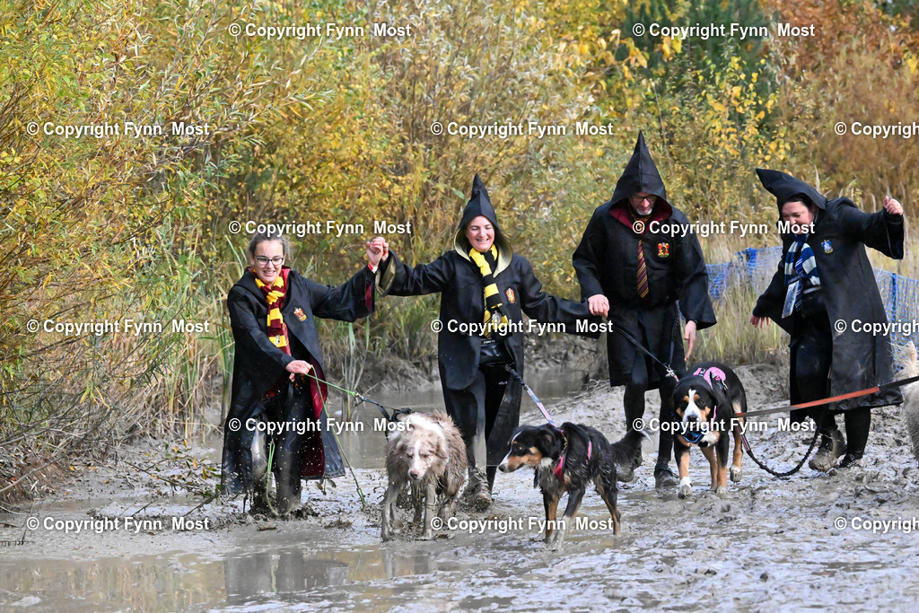 DSC_1275 | Hallo und herzlich Willkommen auf meiner Shop-Seite Fynn Most.

Ich wünsche Dir viel Spaß beim stöbern durch die Bilder, wenn Du Fragen hast oder Bilder vermisst, kannst du mir gerne eine Nachricht schreiben. - Realisiert mit Pictrs.com