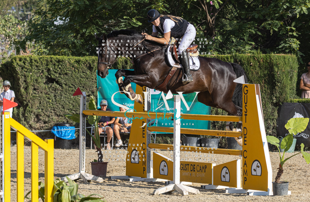 IMG_9305 | s-jay-photography - Realisiert mit Pictrs.com