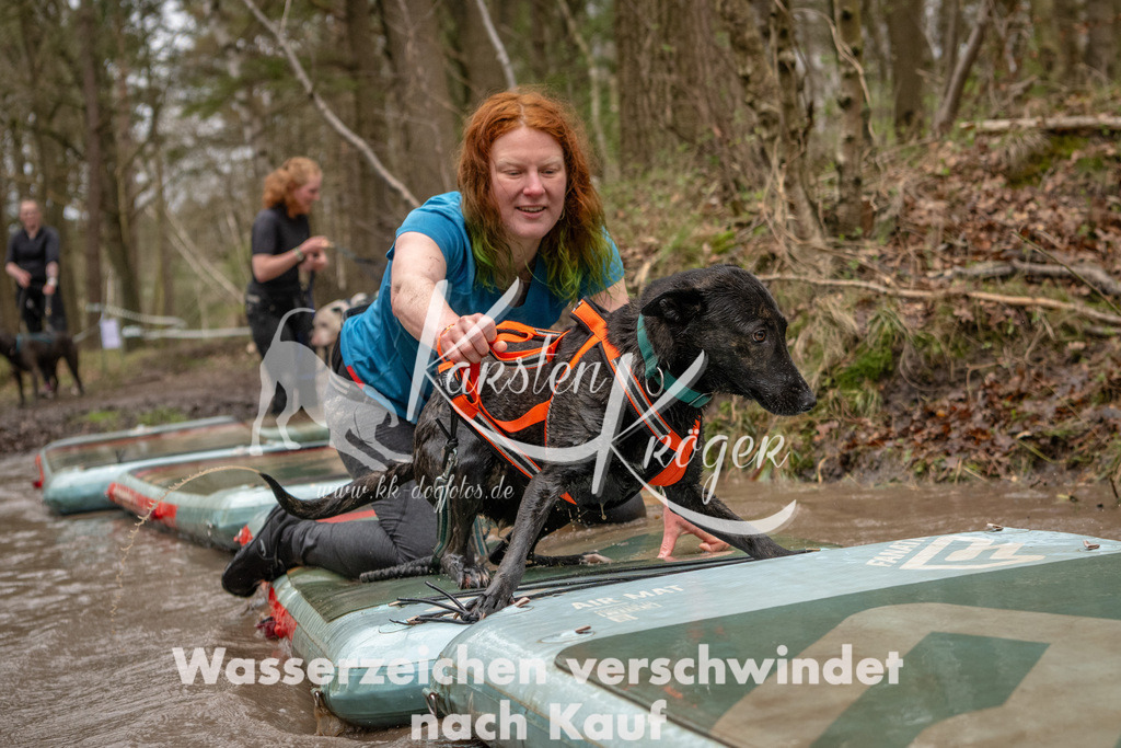 1137_ZZ93760 | kk-dogfotos
