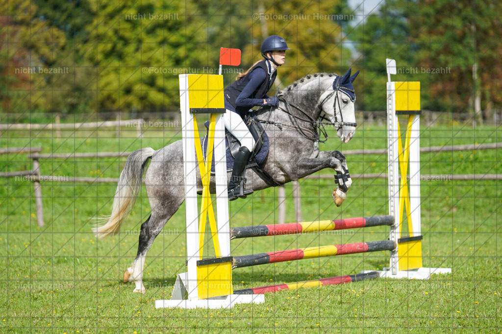 20230917-FAH09202 | Landsberg am Lech, 2023, Kaufbeuren, Kempten, Allgäu, Turnierfotografen Bayern, Fotoagentur Herrmann, Turnierbilder, Reitsport Fotos, Pferdefotograf, Augsburg, Bad Tölz, Dachau, Karlsfeld, Memmingen, Buchloe, Schwabmünchen