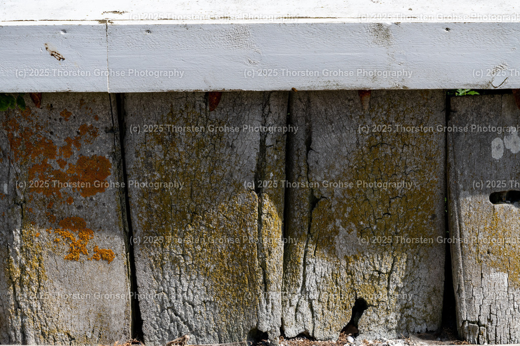 Whale bone fence Romo, Denmark, 2023, Walknochenzaun Römö, Dänemark, 2023 | Juvre's whalebone fence on Romo is the only one of its kind. Der Walknochenzaun von Juvre auf Römö ist der einzige seiner Art.  - Realisiert mit Pictrs.com