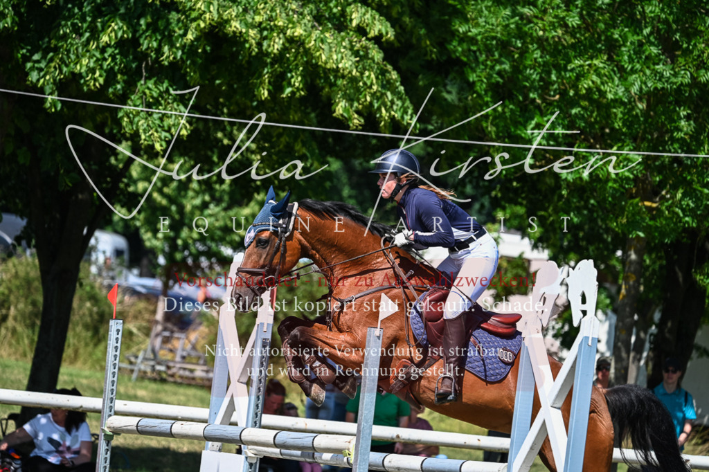 DSC_1358 | Pferde- und Turnierfotografie in Westsachsen. Pferdeportraits, Auftragszeichnungen und intuitive Kunst.