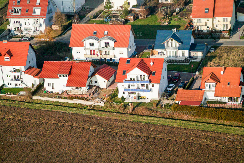 Luftbild: Hasenfang in Freckenfeld im Bundesland Rheinland-Pfalz in Deutschland. Foto: IMG_0612.jpg vom 08.01.2006 durch Werner Riehm/FLY-FOTO.de