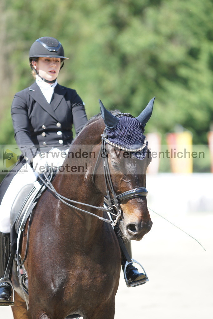 DSC03087 | equestrian-live-com