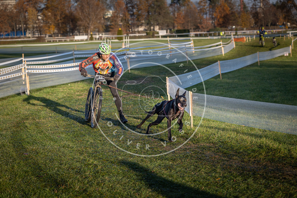CaniXpix_0L8A3010 | Hundefotografie, Tierfotograf, Pfotenfotografie, Fotoshooting Hund, Hunde Portrait, Hundesport, Hundeportraits, Heideshooting, Hunde, Sportfotograf, Hundefotograf, Turnierhundsport, THS,  - Realisiert mit Pictrs.com