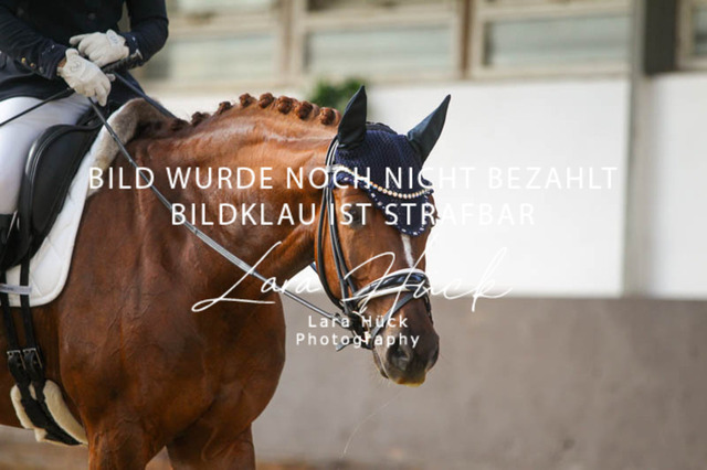 DKP45721 | larahueckfotografie