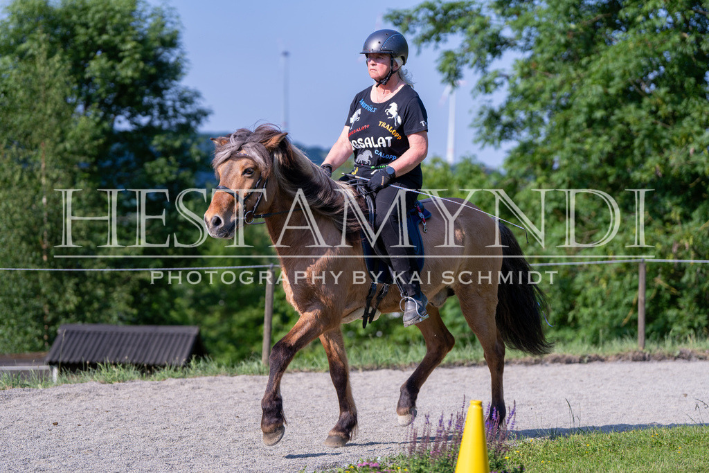 KAI07179 | Ihr sucht einen Fotografen für eure nächste OSI? Ich begleite auch euer Turnier für Islandpferde fotografisch.  - Realisiert mit Pictrs.com