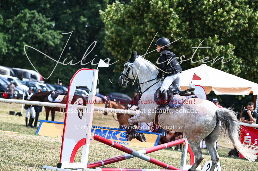 DSC_9816 | Pferde- und Turnierfotografie in Westsachsen. Pferdeportraits, Auftragszeichnungen und intuitive Kunst.