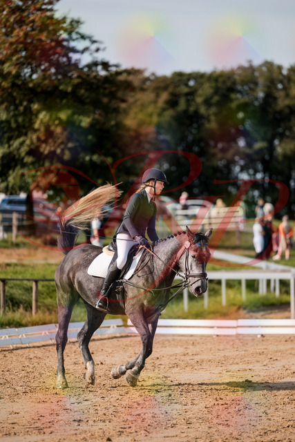 2026_10_03_Siefer-Hof_120130_Z63_34015657 | Professionelle Reitsport-, Turnier- und Eventfotografie von Robert Broda. Galerien mit ausgewählten und bearbeiteten Bildern direkt online ansehen und bestellen.