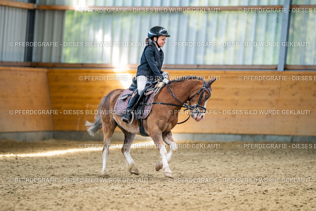 DSC02993 | Pferdegrafie