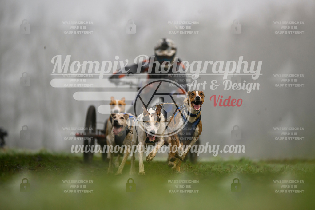 MompixPhotography_CDF2023_FFST_Di_Kart-70 | PayLife