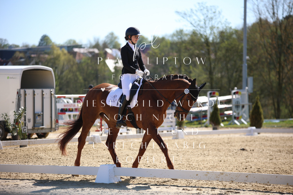 IMGT0735 | pl-fotografie