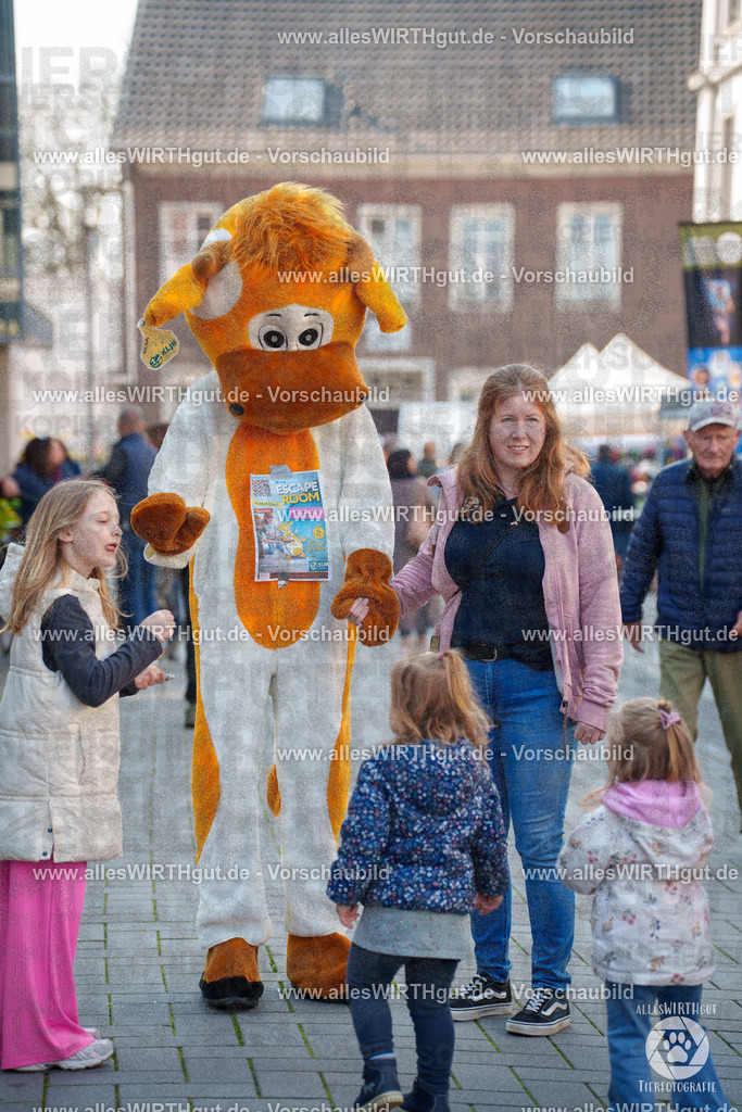 Pfötchenmarkt Nettetal-Lobberich 2026 - Nettetal-Tag - Daniel Wirth - www.allesWIRTHgut.de - @allesWIRTHgut_Tierfotografie 7R508304 | Professionelle Tierfotografie in Mönchengladbach von Daniel Wirth (allesWIRTHgut). Liebevolle & natürliche Bilder von Hunden & Katzen für unvergessliche Erinnerungen.