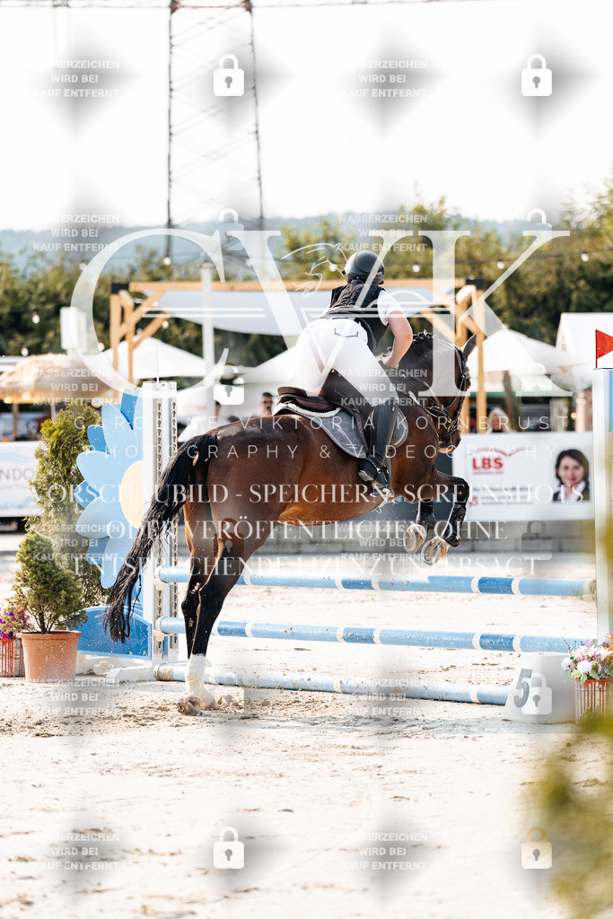 CK902883 | Turnierfotografie Pferdefotografie Trier Rheinland-Pfalz Pferdesport Reitsport Tierfotografie Sportfotografie Pferdevideo Pferdevideografie Equestrianvideography equestrianphotography  - Realisiert mit Pictrs.com