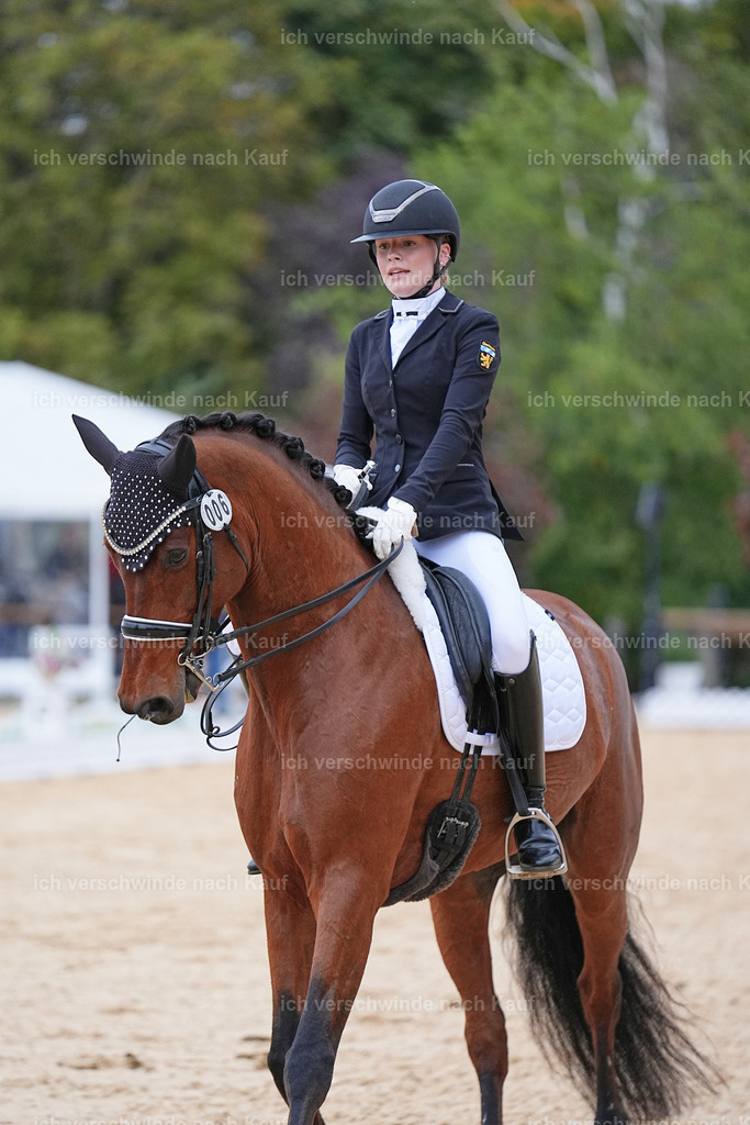 04_2-006-Dressur M__ -Marixx-3080 | working equitationturnier fotograf videograf stoibphotography marixx film working equitation deutschland reitsport turnierfotografie eventfotografie equestrian events