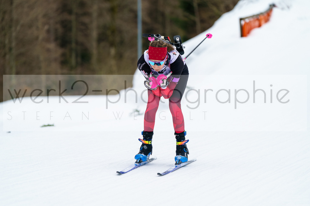 FESA Alpencup / DP Notschrei | Deutschland Pokal Finale im Schwarzwald NORDIC-CENTER Notschrei am 7. - 8. Februar 2026