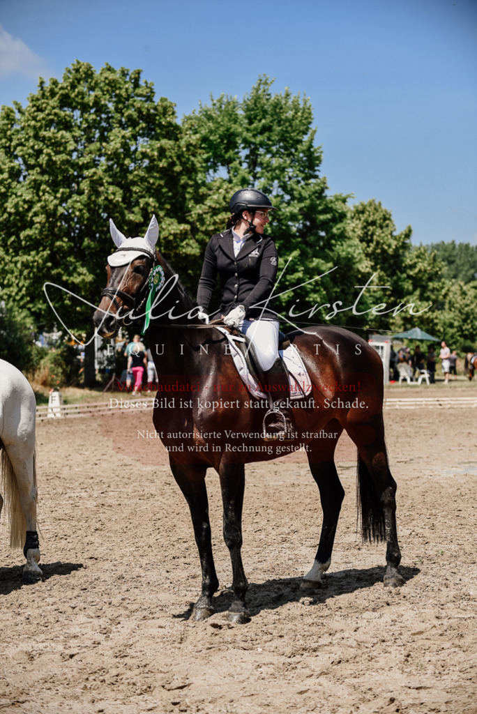DSC_2049 | Pferde- und Turnierfotografie in Westsachsen. Pferdeportraits, Auftragszeichnungen und intuitive Kunst.
