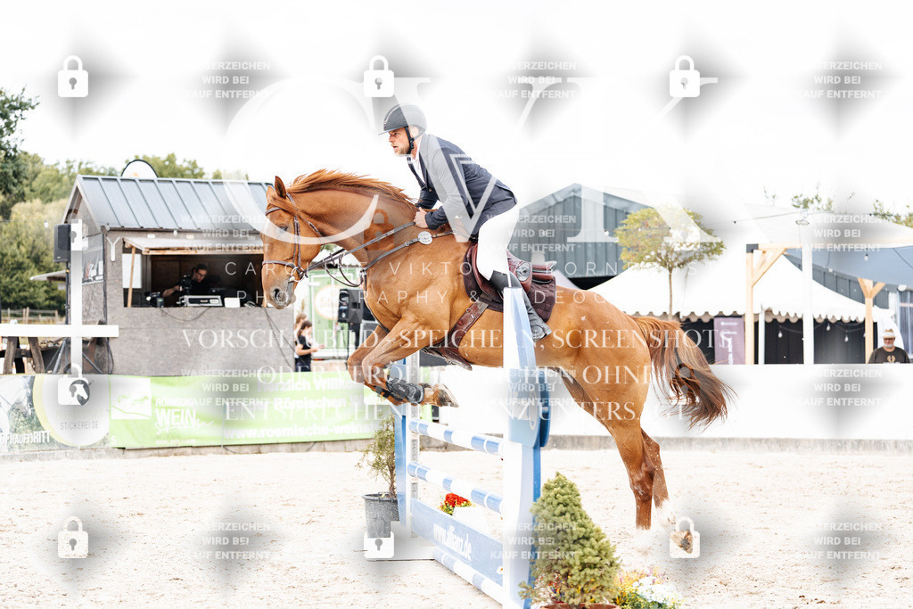 CK909417 | Turnierfotografie Pferdefotografie Trier Rheinland-Pfalz Pferdesport Reitsport Tierfotografie Sportfotografie Pferdevideo Pferdevideografie Equestrianvideography equestrianphotography  - Realisiert mit Pictrs.com