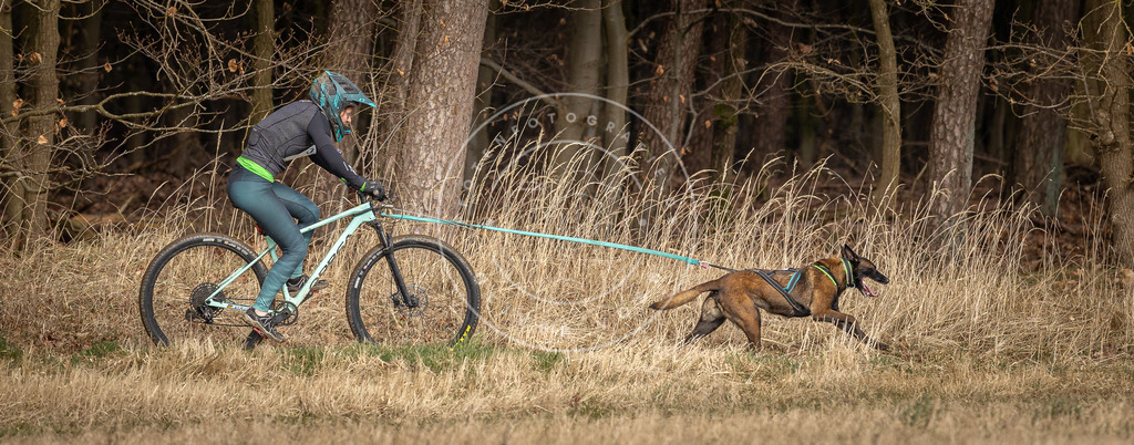 DV3A4569 | Hundefotografie, Tierfotograf, Pfotenfotografie, Fotoshooting Hund, Hunde Portrait, Hundesport, Hundeportraits, Heideshooting, Hunde, Sportfotograf, Hundefotograf, Turnierhundsport, THS,  - Realisiert mit Pictrs.com