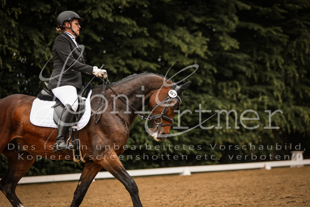 DoDrA200122 | Leoni Ertmer Photography - Realisiert mit Pictrs.com