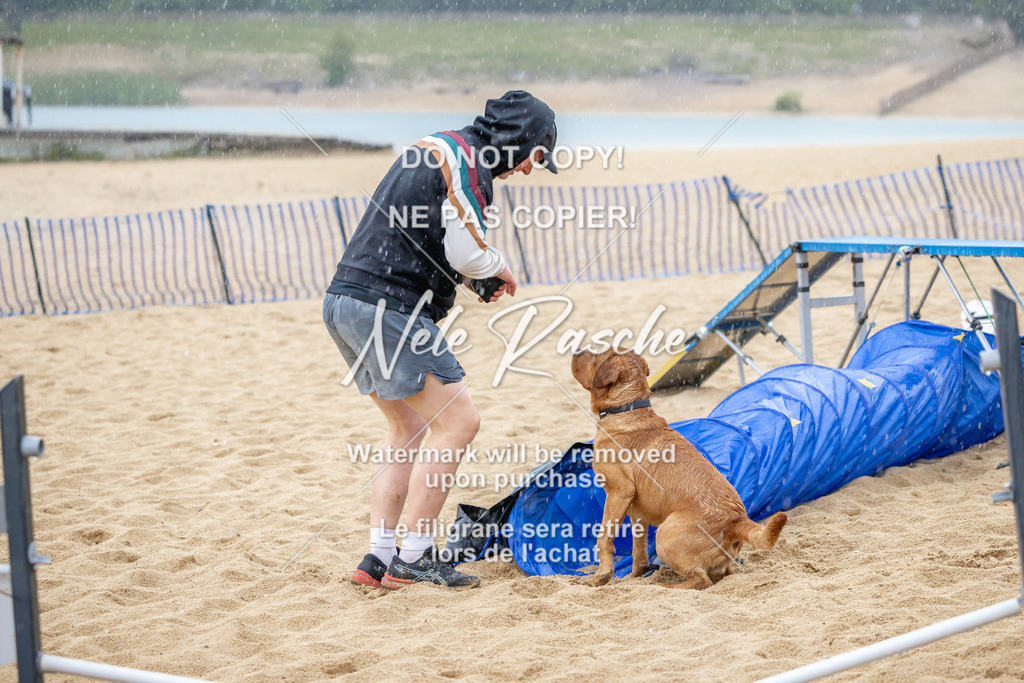 nelerasche_BuHu2026_So1430-1530_20 | nelerasche