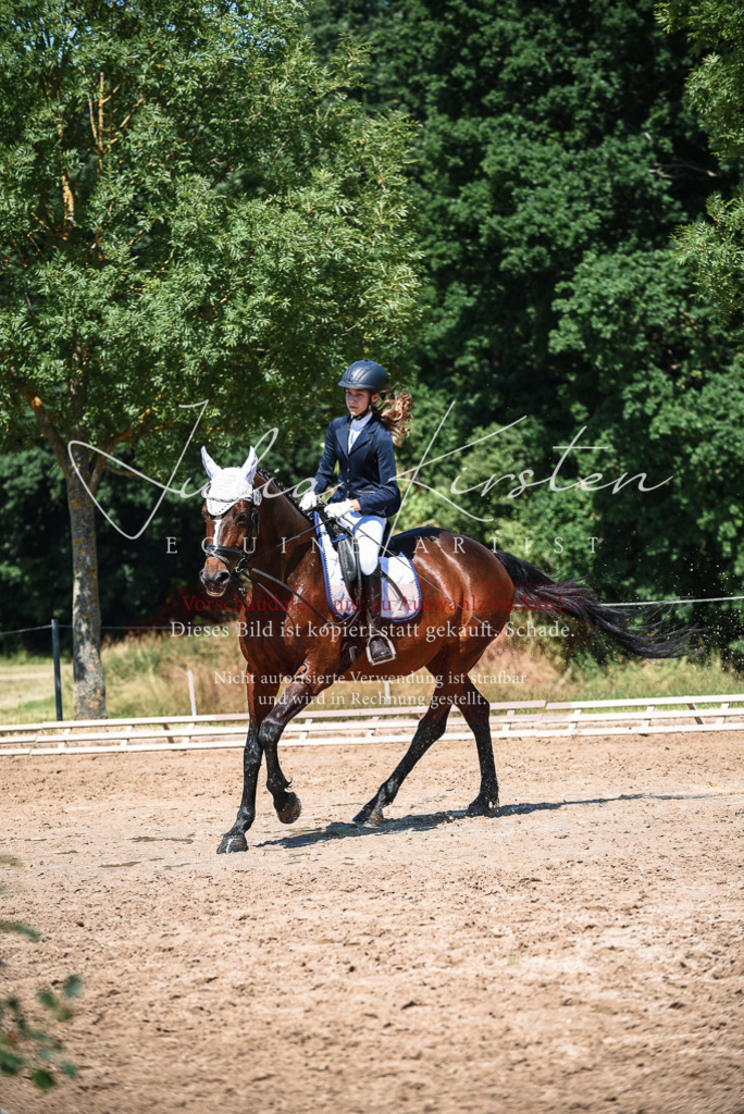 DSC_3503 | Pferde- und Turnierfotografie in Westsachsen. Pferdeportraits, Auftragszeichnungen und intuitive Kunst.