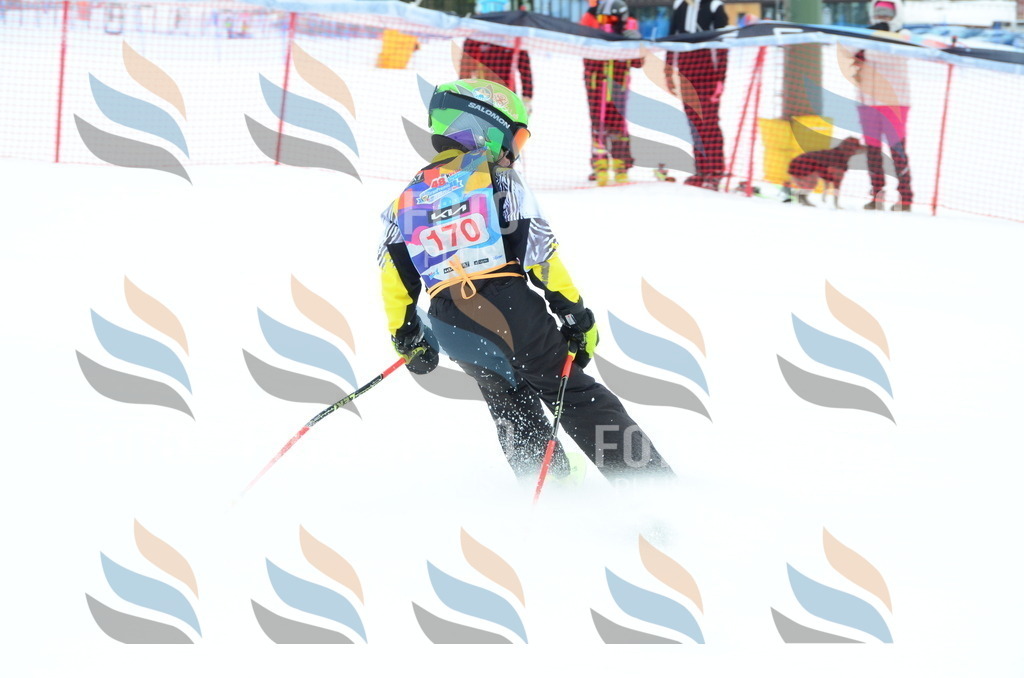 DSC_1602 | holidayphoto