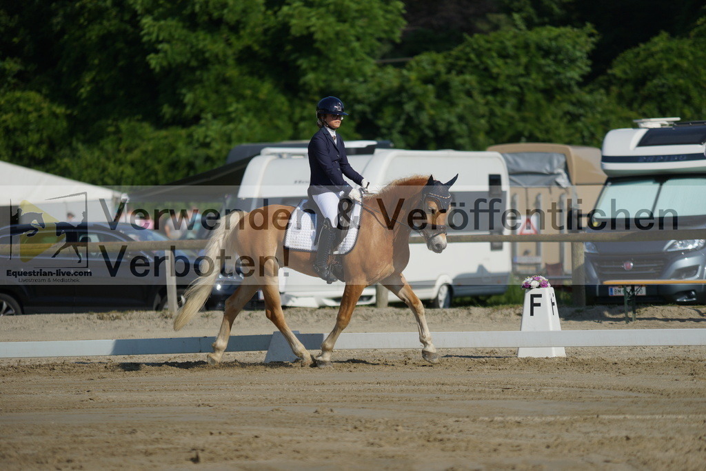 DSC04118 | equestrian-live-com