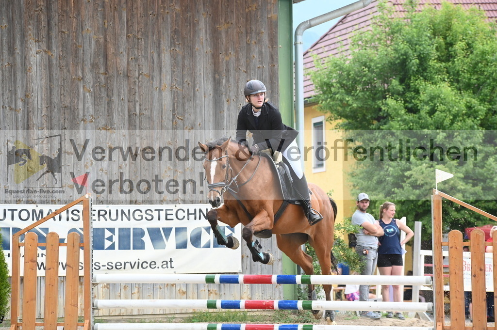DSC_8256 | equestrian-live-com