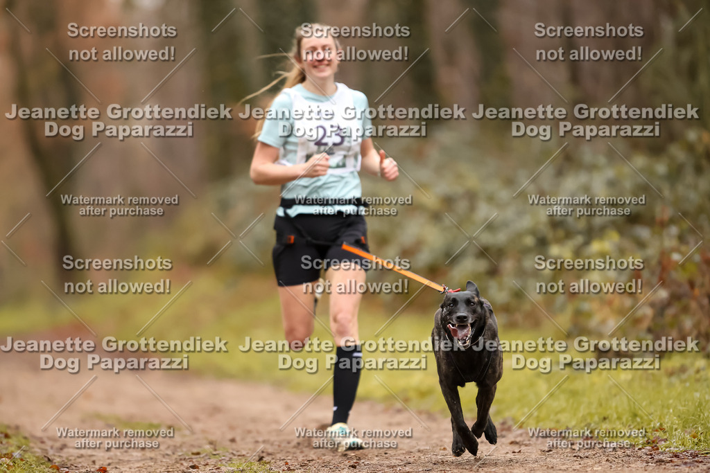 Dog Paparazzi - Speedhunter Mannheim  2025-61 | Dog Paparazzi Jeanette Grottendiek Fotografie & Videografie