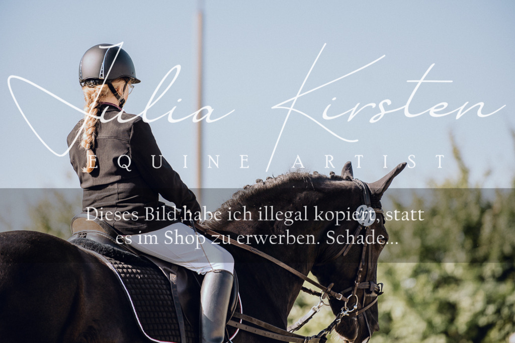 DSC_6882 | Pferde- und Turnierfotografie in Westsachsen. Pferdeportraits, Auftragszeichnungen und intuitive Kunst.