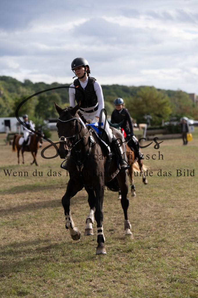 A7V01550 | Pferdefotograf