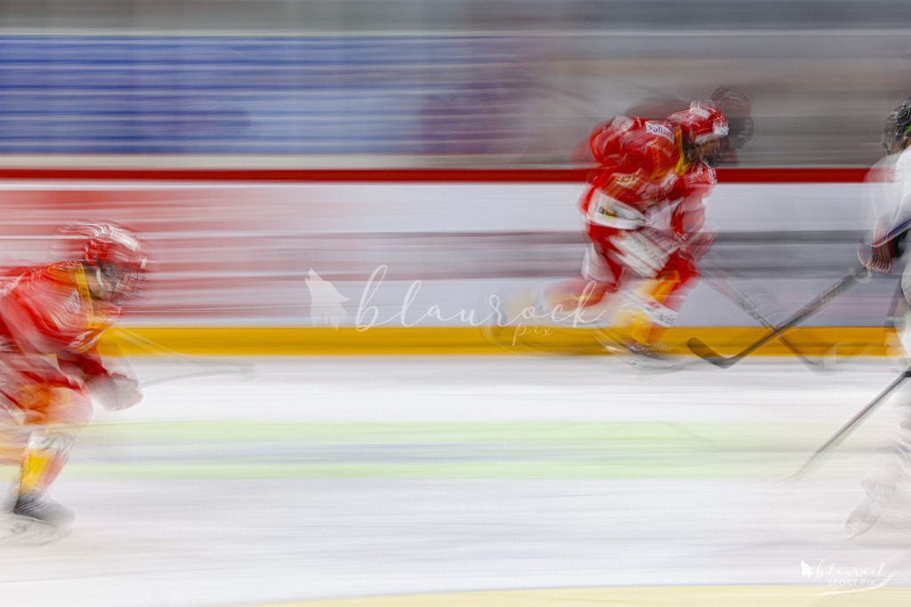 EHCB Spirit vs HCFG_wb-7481 | Sportbilder, Sportfotograf, Hochzeits- und Eventfotografin, Flugshows, Portraits und Tiershooting, Aviation, Downhill, Nationalleague, Swissleague, International